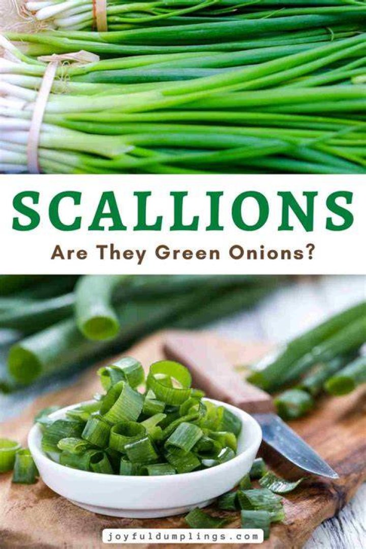 How do I buy scallions?