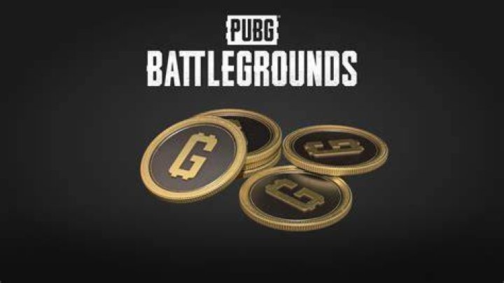 What are the coins for on PUBG mobile?