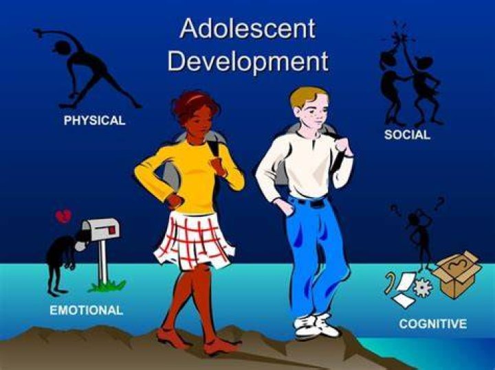 What are three factors that are important to adolescent development?