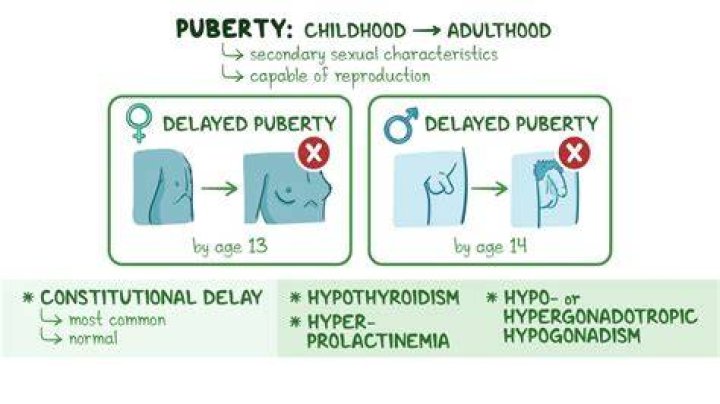 What causes delayed puberty?