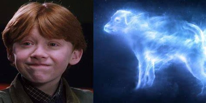 What form does Ron Weasley's Patronus take?