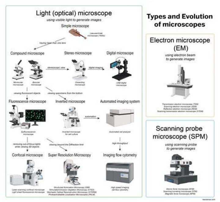 Which type of lens is used in electron microscope?